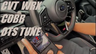 2023 WRX CVT COBB STAGE 1 OTS TUNE  2022wrx 2023wrx cobbtuning [upl. by Reilamag958]