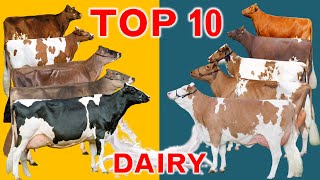 Top 10 Dairy Cattle Breeds in the World  In terms of Sales Revenue in US Dollar per Cow [upl. by Ahtera]