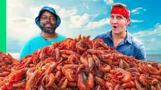 Catching 10000 Shrimp for Shrimp amp Grits [upl. by Ariahs]