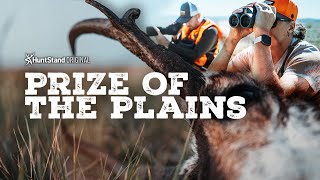 PRIZE OF THE PLAINS  Pronghorn Antelope Hunting in Wyoming [upl. by Orapma]