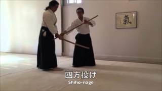 Jo movement and Jo nage by Kashiwaya sensei [upl. by Claudy]