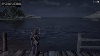 Red Dead Redemption 2Fishing Quakers Cove one of my favorite spots [upl. by Ttayh855]