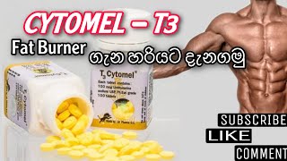 Fat Burner CYTOMEL T3 ගැන හරියටම දැනගමු එහි ප්‍රතිපලbenefitsside effectshow to use T3සිංහලෙන් [upl. by Filahk496]