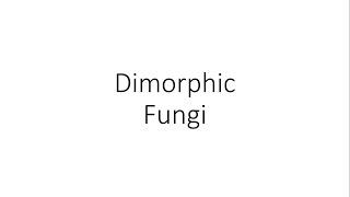 Dimorphic Fungi  Microbiology [upl. by Rhtaeh]