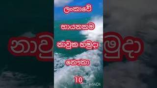 ලංකාවේ🤩😱😮 භායනකම නාවුක හමුදා නෞකා 1010 most dangerous naval ships of Sri Lanka shorts Top navy [upl. by Allsun]