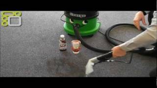 Numatic George Vacuum GVE3702 Vacuum Cleaner Demonstration [upl. by Olney]