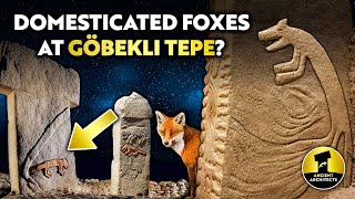 Göbekli Tepe Did They Domesticate the Fox 11600 Years Ago  Ancient Architects [upl. by Lomasi]