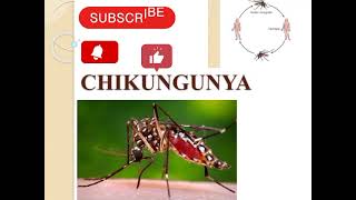 Chikungunya  Definition of chikungunya  Causes of chikungunya  Transmission of chikungunya💯 [upl. by Rolfe]