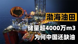 渤海发现最大变质岩油田，够大城市用20年！外国曾说渤海没石油？ [upl. by Firehs117]