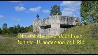 Die üblichen Verdächtigen BunkerWanderung mit Rio Teil 2 [upl. by Esinaj]