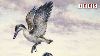 How Did Birds Survive the Asteroid Impact While Other Dinosaurs Died  7 Days of Science [upl. by Grania961]