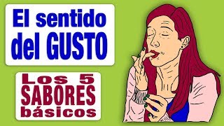 Sentido del Gusto II  Los 5 sabores básicos [upl. by Wilkie716]