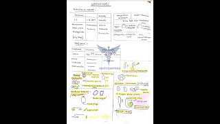 Nematodes  Trematodes  cestodes comment for full pdf fmge neetpg mbbs [upl. by Kcirdec918]