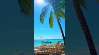 Experience the MOST RELAXING Beach Ambience in 4K with Soft Jazz Music [upl. by Roseann419]