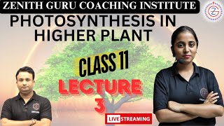 POTHOSYNTHESIS IN HIGHER PLANTS  Class 11  Chapter 11  Lecture 3 By Shubhangi Maam [upl. by Noraj578]