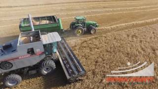 Gleaner Combine Stock Video [upl. by Coltun943]