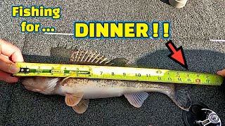 Fishing for DINNER at Guntersville Dam on the Tennessee River [upl. by Stillmann]