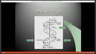 Radiobiology Review [upl. by Anelet662]