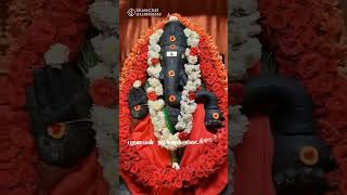 🥰☝️pillaiyar patti ☝️🔥  pillaiyar song  pillaiyarpatti vinayakchaturthistatuswhatsapp [upl. by Schiffman886]