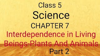 CLASS 5CHAPTER 7INTERDEPENDENCE IN LIVING BEINGSPLANTS AND ANIMALSPART 2 [upl. by Nolita]