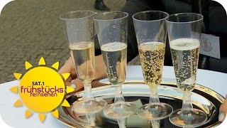 Der BESTE SEKT für Silvester Der große SektTest  SAT1 Frühstücksfernsehen [upl. by Edals]