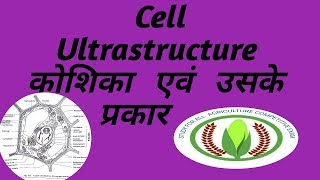 Ultrastructure of cell [upl. by Aroled]