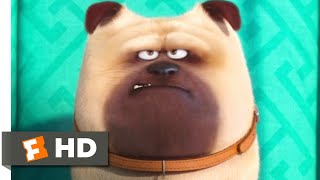 the secret life of pets trailer [upl. by Liag]