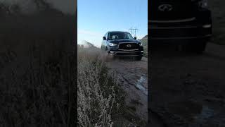 2021 Infiniti QX80 Off Road Shorts [upl. by Levitus]