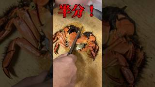 モクズガニ食べ方🎉最高！締めかたから湯がきかたから！上海蟹いとこ？？shortsモクズガニ蟹川アボカドレシピ [upl. by Woodie108]