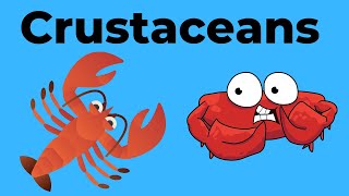 Characteristics of Crustaceans [upl. by Desdee350]