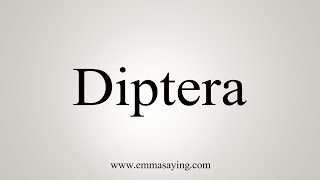 How To Say Diptera [upl. by Ylicis]