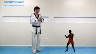 Everything You Must Know in Taekwondo Sparring Explained  TaekwonWoo [upl. by Netsrijk626]