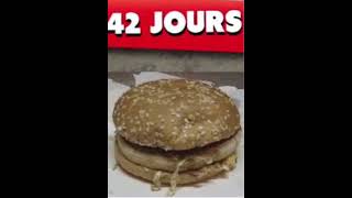 Pourquoi les burgers de chez McDo ne moisissent jamais [upl. by Bowes]