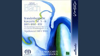 Brandenburg Concerto No 5 in D Major BWV 1050  Part I JS Bach [upl. by Kcirdet647]