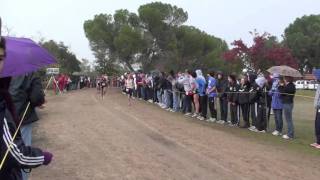 2010 CIF XC State Meet  Div 1 Boys [upl. by Myrtia]