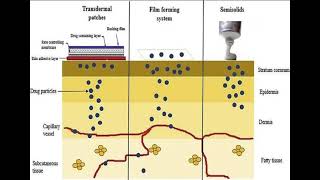 LEC 3 Target Sites in Topical and Transdermal Drug Delivery شرح بالعربي [upl. by Ydde]