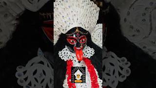 Gorgeous Maa Kali in daker saaj🌺  Kali puja 2024🌺 shorts youtubeshorts kalipuja maakali [upl. by Sande]