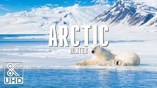 Arctic 8K  Pristine Landscapes and Winter’s Wonders [upl. by Noryahs]