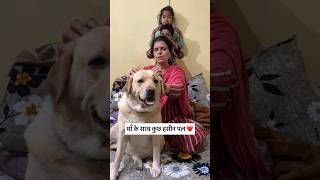 Maa 🥰  labra rubi  youtubeshorts shorts labrador dog cute emotional maa viralshorts [upl. by Narrat]