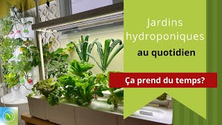 Mes jardins hydroponiques au quotidien [upl. by Ayita]