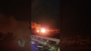 Tolleson palm tree farm goes up in flames [upl. by Petronille67]