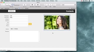 Filemaker Pro Basics for beginners [upl. by Inek488]