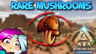 HOW TO GET RARE MUSHROOMS  SCORCHED EARTH  Ark Survival Ascended [upl. by Roshelle]