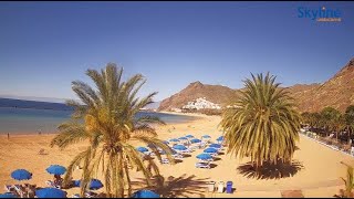 🔴 Recorded live footage from the Playa de Las Teresitas  Tenerife  SkylineWebcams [upl. by Casanova]