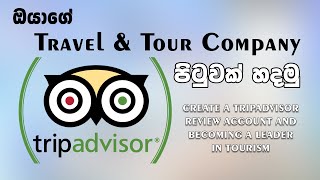 How To Add TripAdvisor Reviews To Elementor [upl. by Anivle]