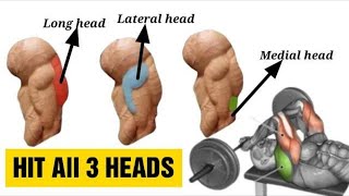 9 Best Triceps Workout for Every Head Hit all 3 heads  Fitkill [upl. by Esiouqrut681]