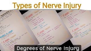 Nerve Injury  Degrees of Nerve Injury  Types of Nerve Injury  Nerve Damage [upl. by Edee]