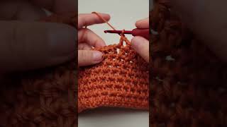 😍😍😍Crochet Stitch Pattern [upl. by Emoreg400]