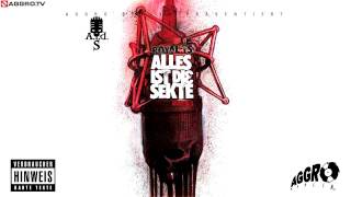 ROYAL TS SIDO amp BTIGHT OPFERMX NR 2  ALLES IST DIE SEKTE  ALBUM  TRACK 05 [upl. by Cordle]