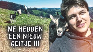 HET IS HIER ZO ANDERS LEVEN vlog [upl. by Hailed986]